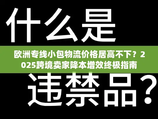 欧洲专线小包物流价格居高不下？2025跨境卖家降本增效终极指南
