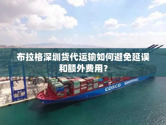 布拉格深圳货代运输如何避免延误和额外费用？