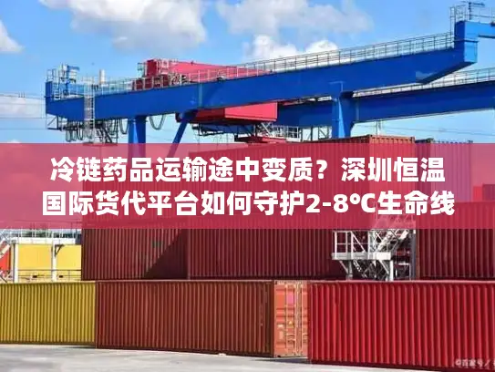 冷链药品运输途中变质？深圳恒温国际货代平台如何守护2-8℃生命线
