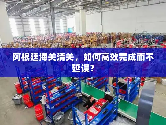 阿根廷海关清关，如何高效完成而不延误？