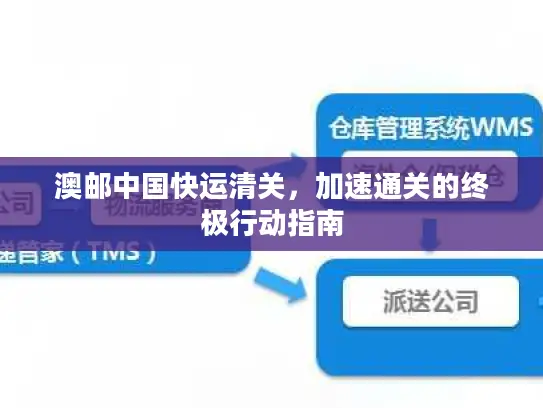 澳邮中国快运清关，加速通关的终极行动指南