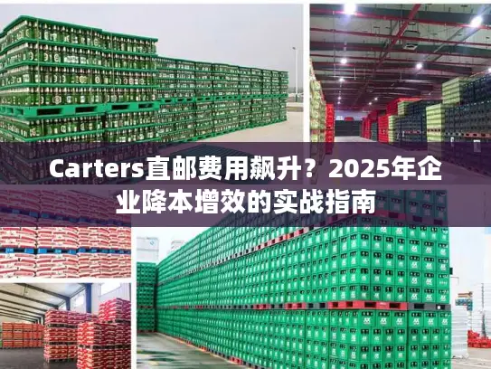 Carters直邮费用飙升？2025年企业降本增效的实战指南