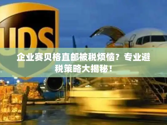 企业赛贝格直邮被税烦恼？专业避税策略大揭秘！