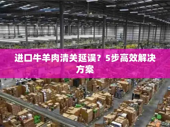 进口牛羊肉清关延误？5步高效解决方案
