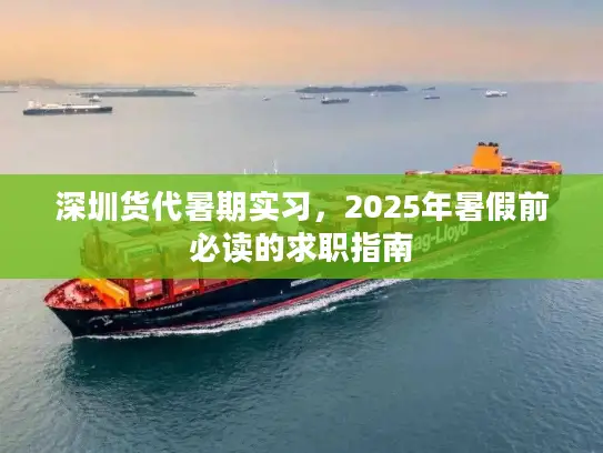 深圳货代暑期实习，2025年暑假前必读的求职指南
