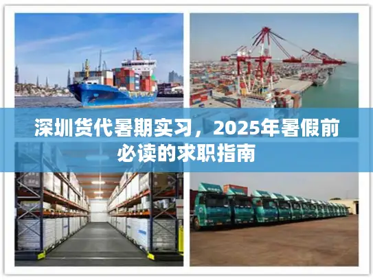 深圳货代暑期实习，2025年暑假前必读的求职指南