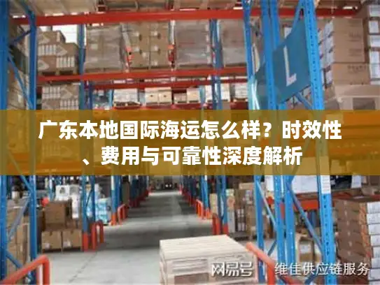 广东本地国际海运怎么样？时效性、费用与可靠性深度解析