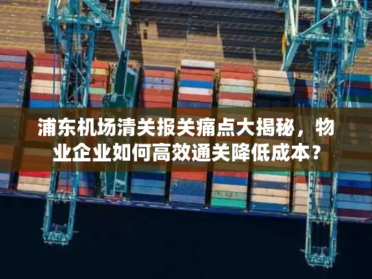 浦东机场清关报关痛点大揭秘，物业企业如何高效通关降低成本？