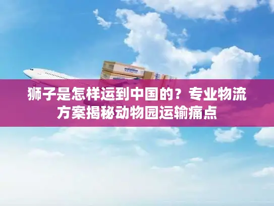 狮子是怎样运到中国的？专业物流方案揭秘动物园运输痛点