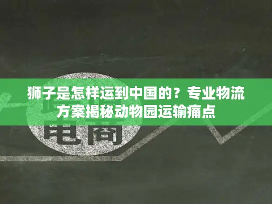 狮子是怎样运到中国的？专业物流方案揭秘动物园运输痛点