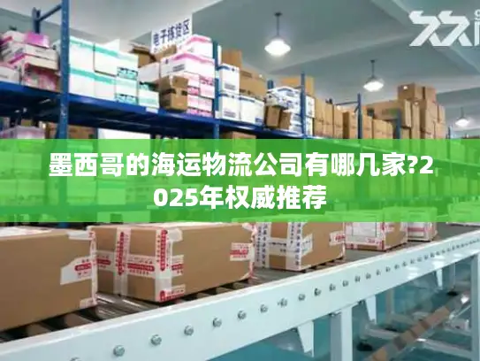 墨西哥的海运物流公司有哪几家?2025年权威推荐