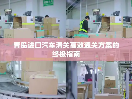 青岛进口汽车清关高效通关方案的终极指南