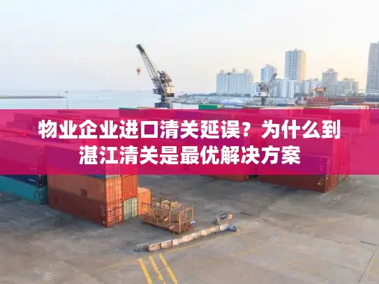 物业企业进口清关延误？为什么到湛江清关是最优解决方案