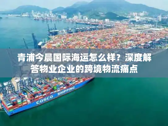 青浦今晨国际海运怎么样？深度解答物业企业的跨境物流痛点