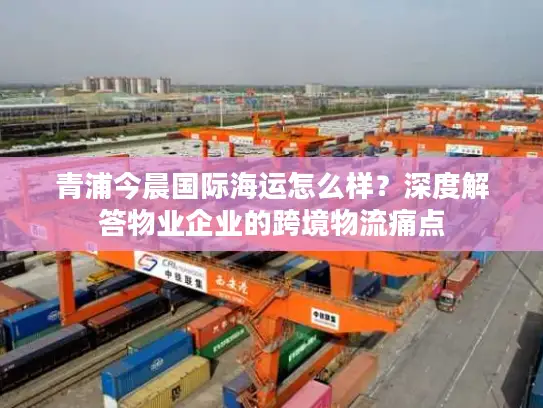青浦今晨国际海运怎么样？深度解答物业企业的跨境物流痛点
