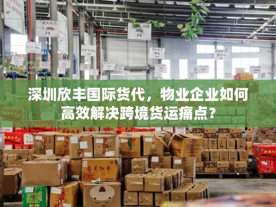 深圳欣丰国际货代，物业企业如何高效解决跨境货运痛点？