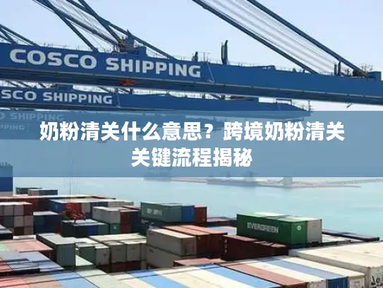 奶粉清关什么意思？跨境奶粉清关关键流程揭秘