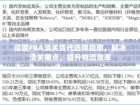 德国FBA清关货代选择指南，解决清关痛点，提升物流效率