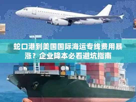 蛇口港到美国国际海运专线费用暴涨？企业降本必看避坑指南