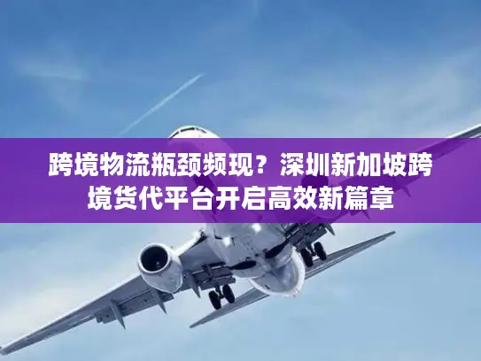 跨境物流瓶颈频现？深圳新加坡跨境货代平台开启高效新篇章
