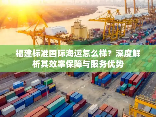福建标准国际海运怎么样？深度解析其效率保障与服务优势