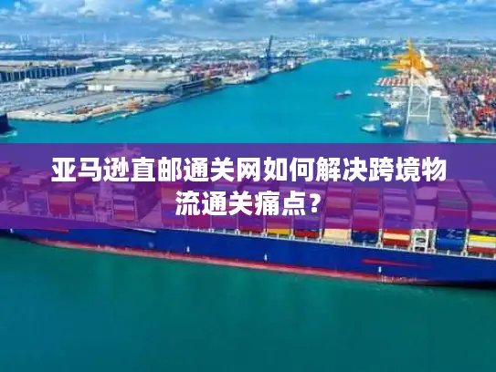 亚马逊直邮通关网如何解决跨境物流通关痛点？