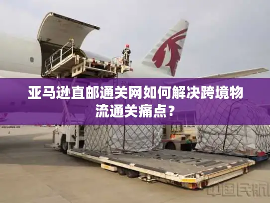 亚马逊直邮通关网如何解决跨境物流通关痛点？