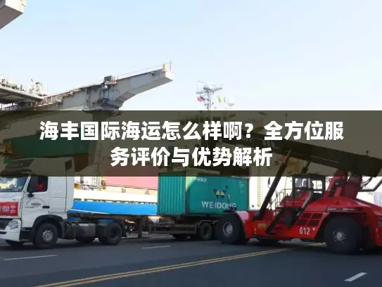 海丰国际海运怎么样啊？全方位服务评价与优势解析