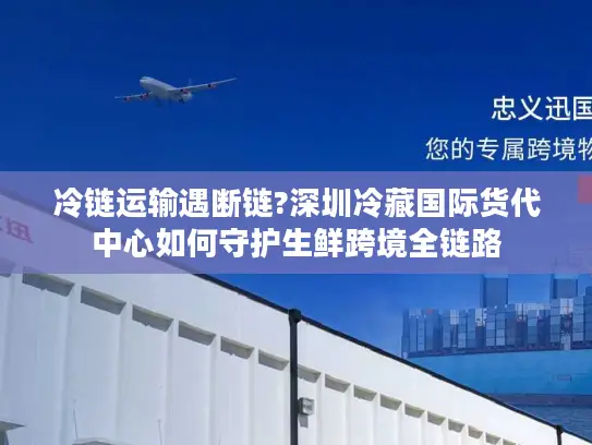 冷链运输遇断链?深圳冷藏国际货代中心如何守护生鲜跨境全链路