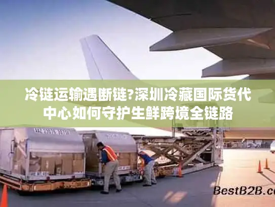 冷链运输遇断链?深圳冷藏国际货代中心如何守护生鲜跨境全链路