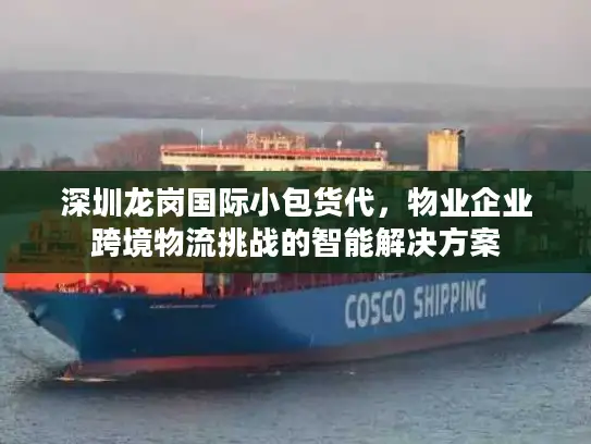 深圳龙岗国际小包货代，物业企业跨境物流挑战的智能解决方案