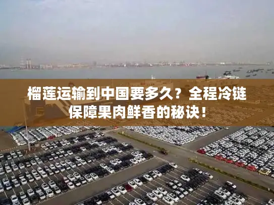 榴莲运输到中国要多久？全程冷链保障果肉鲜香的秘诀！