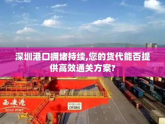 深圳港口拥堵持续,您的货代能否提供高效通关方案?