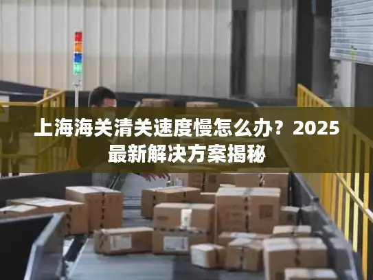上海海关清关速度慢怎么办？2025最新解决方案揭秘