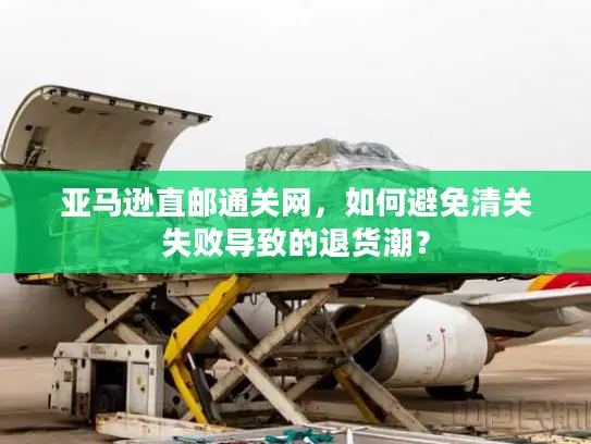 亚马逊直邮通关网，如何避免清关失败导致的退货潮？