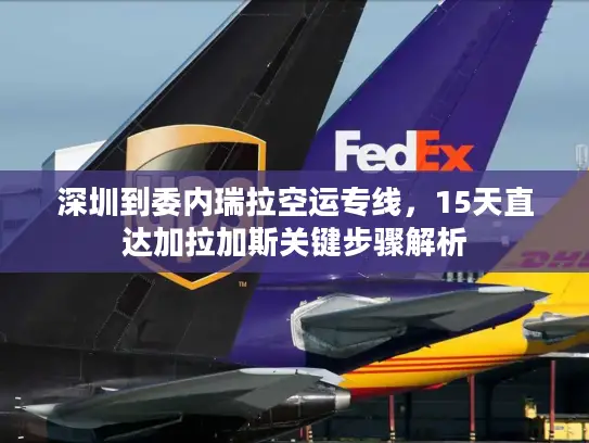 深圳到委内瑞拉空运专线，15天直达加拉加斯关键步骤解析