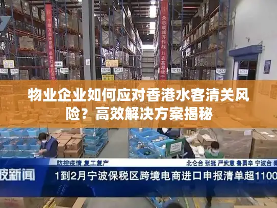 物业企业如何应对香港水客清关风险？高效解决方案揭秘