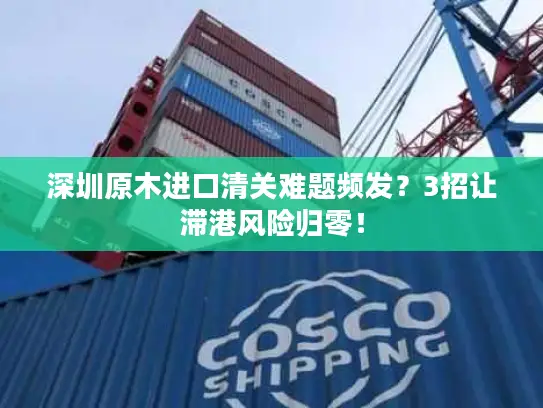 深圳原木进口清关难题频发？3招让滞港风险归零！
