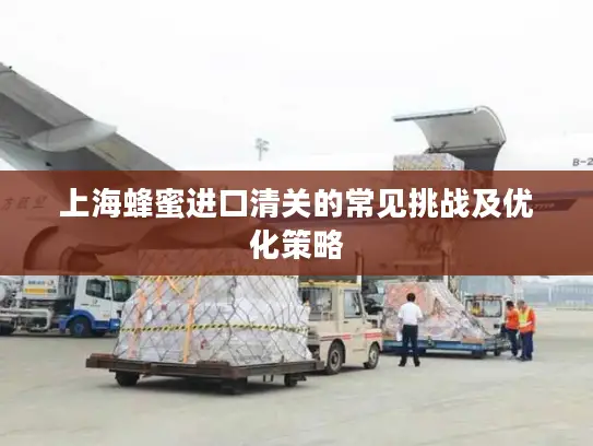 上海蜂蜜进口清关的常见挑战及优化策略