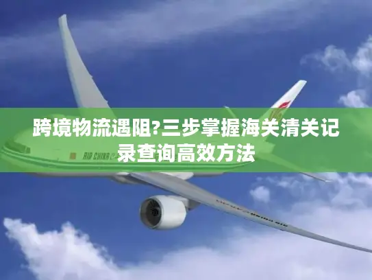 跨境物流遇阻?三步掌握海关清关记录查询高效方法