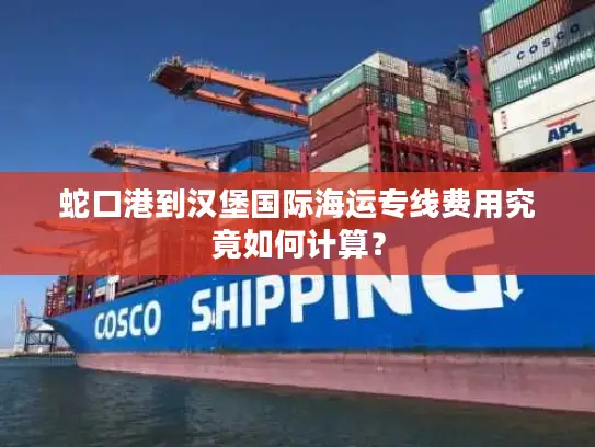 蛇口港到汉堡国际海运专线费用究竟如何计算？