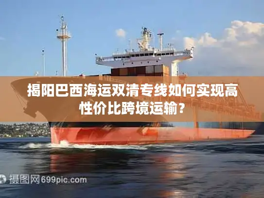 揭阳巴西海运双清专线如何实现高性价比跨境运输？