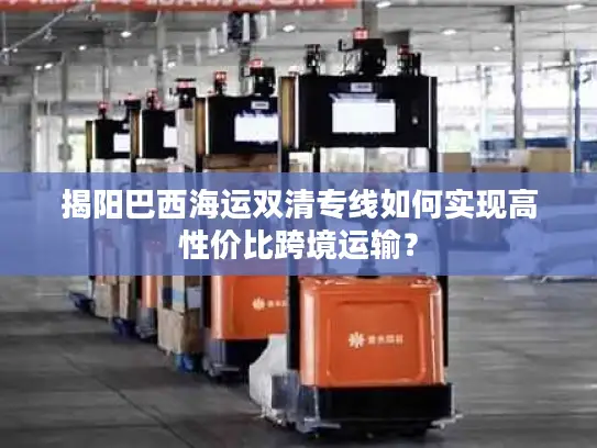 揭阳巴西海运双清专线如何实现高性价比跨境运输？