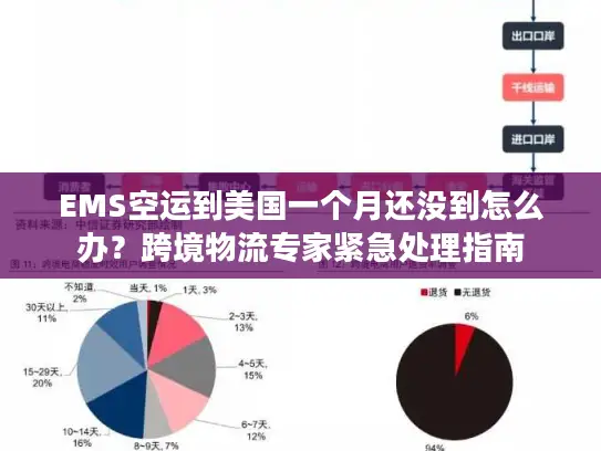 EMS空运到美国一个月还没到怎么办？跨境物流专家紧急处理指南