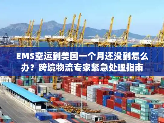 EMS空运到美国一个月还没到怎么办？跨境物流专家紧急处理指南