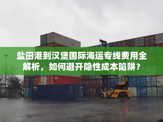 盐田港到汉堡国际海运专线费用全解析，如何避开隐性成本陷阱？