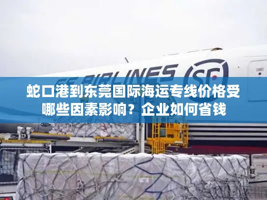 蛇口港到东莞国际海运专线价格受哪些因素影响？企业如何省钱