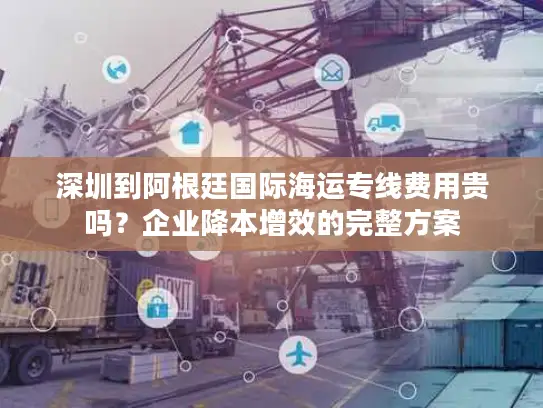 深圳到阿根廷国际海运专线费用贵吗？企业降本增效的完整方案
