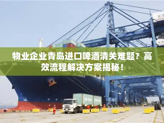 物业企业青岛进口啤酒清关难题？高效流程解决方案揭秘！