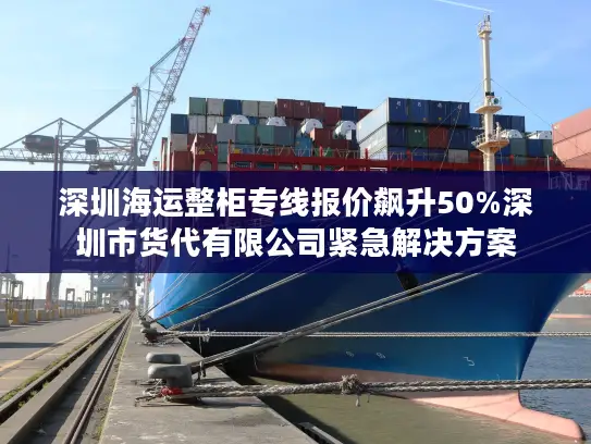 深圳海运整柜专线报价飙升50%深圳市货代有限公司紧急解决方案
